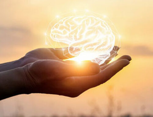 DSM partners with SLS Nutraceuticals to tackle brain health in the Asia Pacific