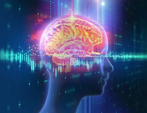 Prinova brings SLS Nutraceutical’s innovations in brain health to the United States
